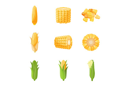 Corn icons set cartoon vector, a Food Illustration by Ylivdesign