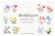 Watercolor Birthmonth florals Set, a Decorative Illustration by Grace Noboa Illustrations (Thumbnail 3 of 10)
