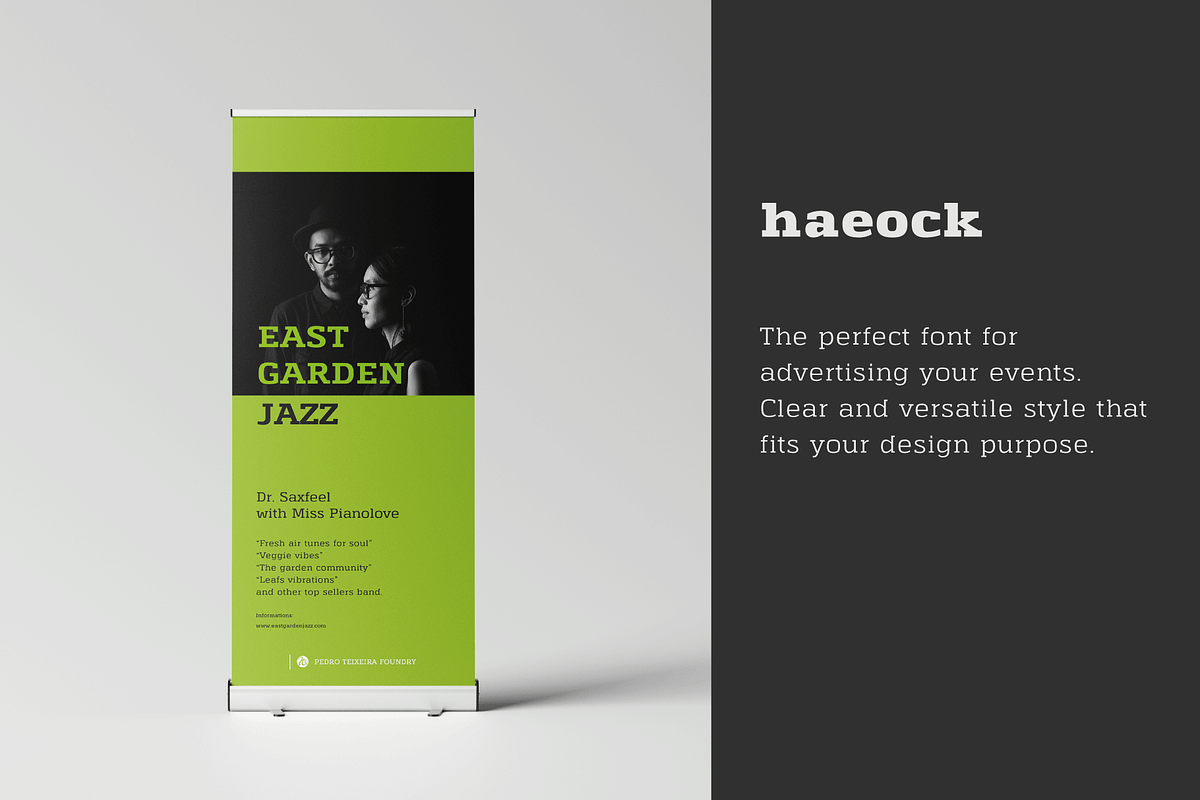 Haeock Family, a Slab Serif Font by vectalex (Photo 5 of 6)