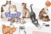 Cat Illustrations Patterns & Borders, a Graphic by Pretty Little Lines (Thumbnail 6 of 17)