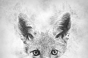 Chalk Sketch Photoshop Action, an Action Add-On by UnicDesign (Thumbnail 9 of 12)