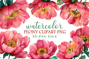 Watercolor Peony Clipart PNG, an Illustration by Libby Wishes