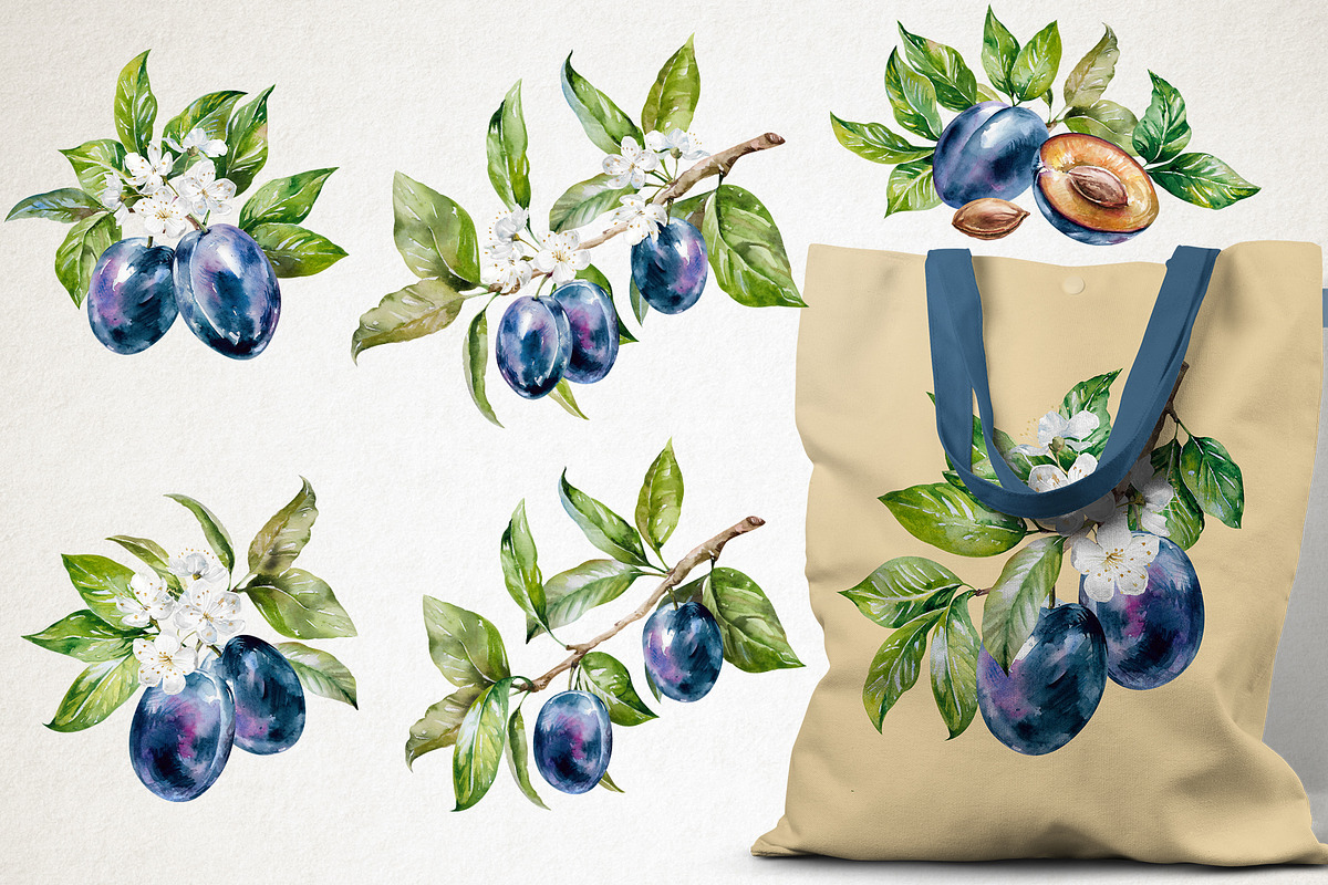 Blooming plum watercolor clipart, a Decorative Illustration by Eva Kleinman (Photo 5 of 14)