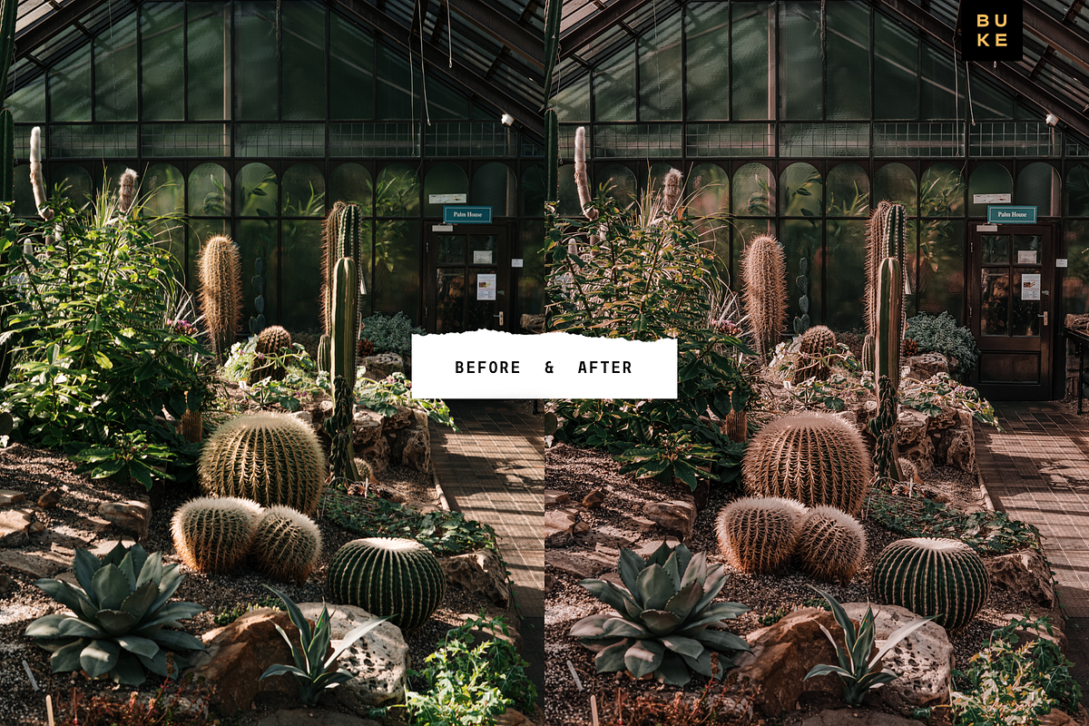 Fallentina Autumn Lightroom Presets, a Preset Add-On by SHOOM HOUSE (Photo 8 of 8)
