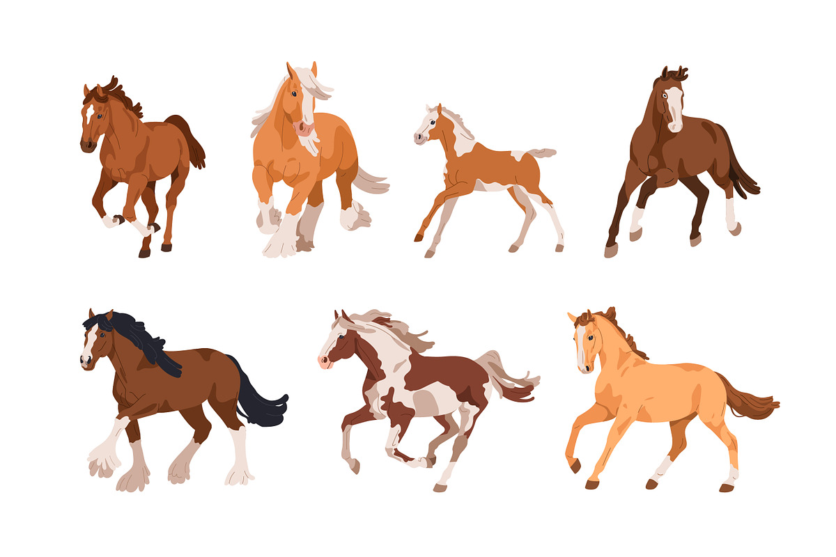 Horses, equine animal breeds set, an Animal Illustration by Good Studio (Photo 2 of 5)