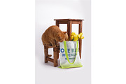Canvas Tote Bag Mockups Vol 2, a Product Mockup by Hi, Mock-Up! (Thumbnail 5 of 9)