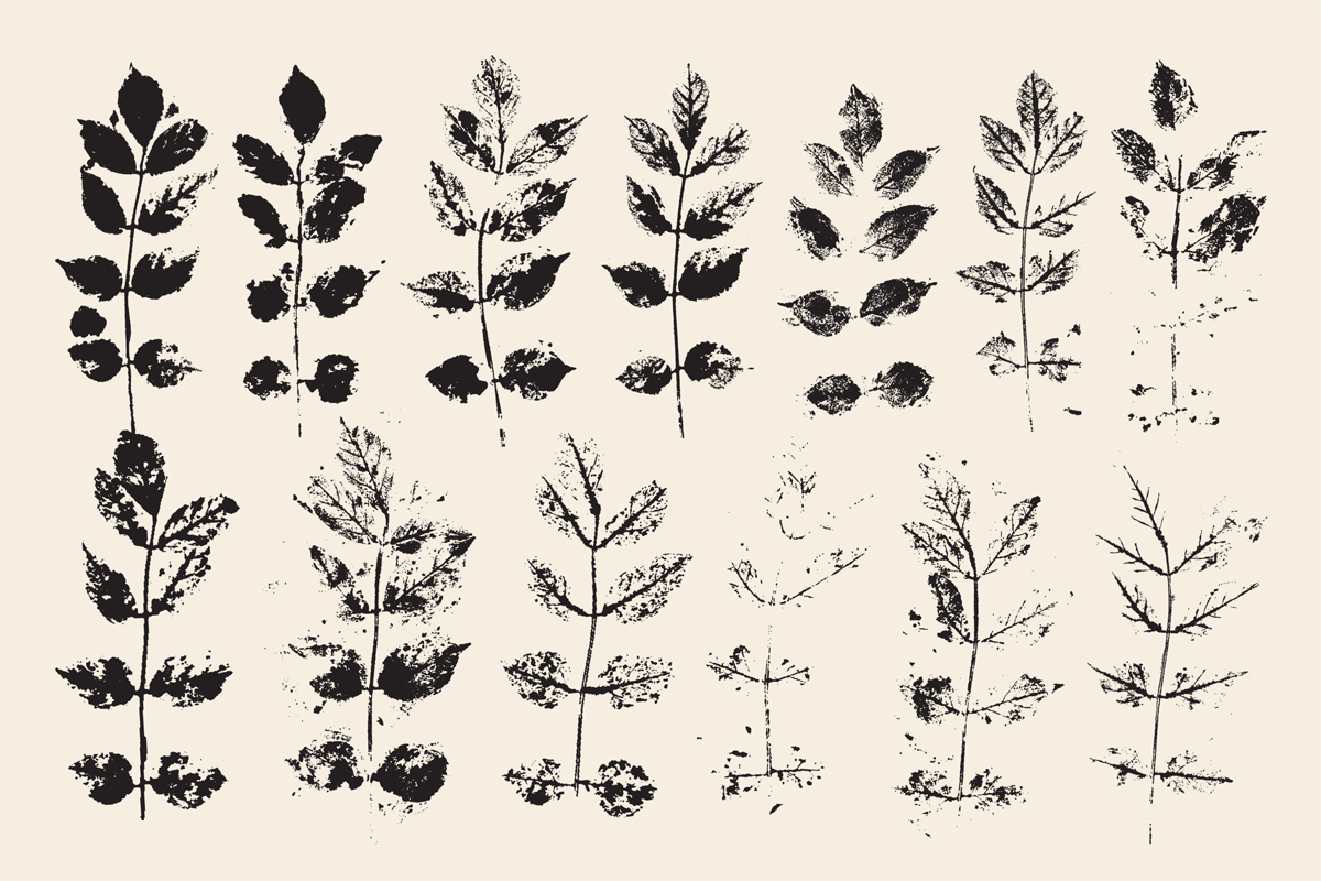 Stamped Prints of Leaves & Flowers, an Object Graphic by Yasir Ekinci (Photo 7 of 14)