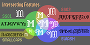 Anachrony, a Blackletter Font by Cerulean Stimuli (Thumbnail 7 of 10)