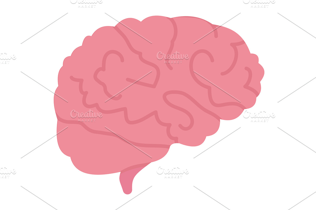 Human brain vector mind icon, an Education Illustration by vectorpointstudio