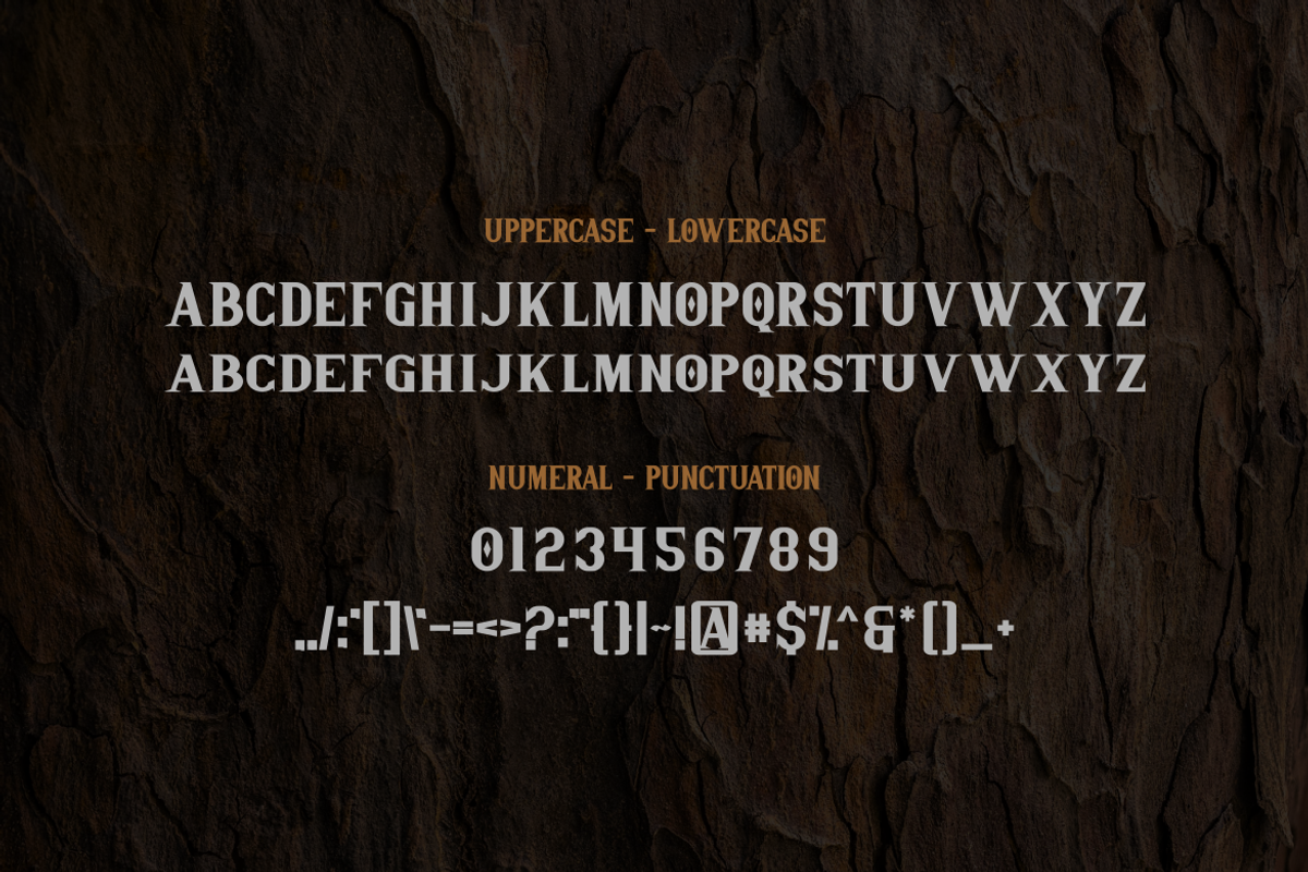 Adhame Font, a Serif Font by albert_kalingga (Photo 3 of 5)