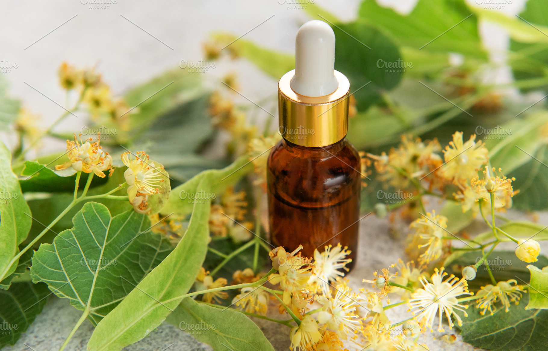 Linden essential oil in dropper bottle with fresh flowers, a Food & Drink Photo by Olena Rudo