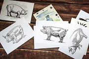 Pigs in graphical style, an Animal Illustration by Countryside life (Thumbnail 11 of 11)