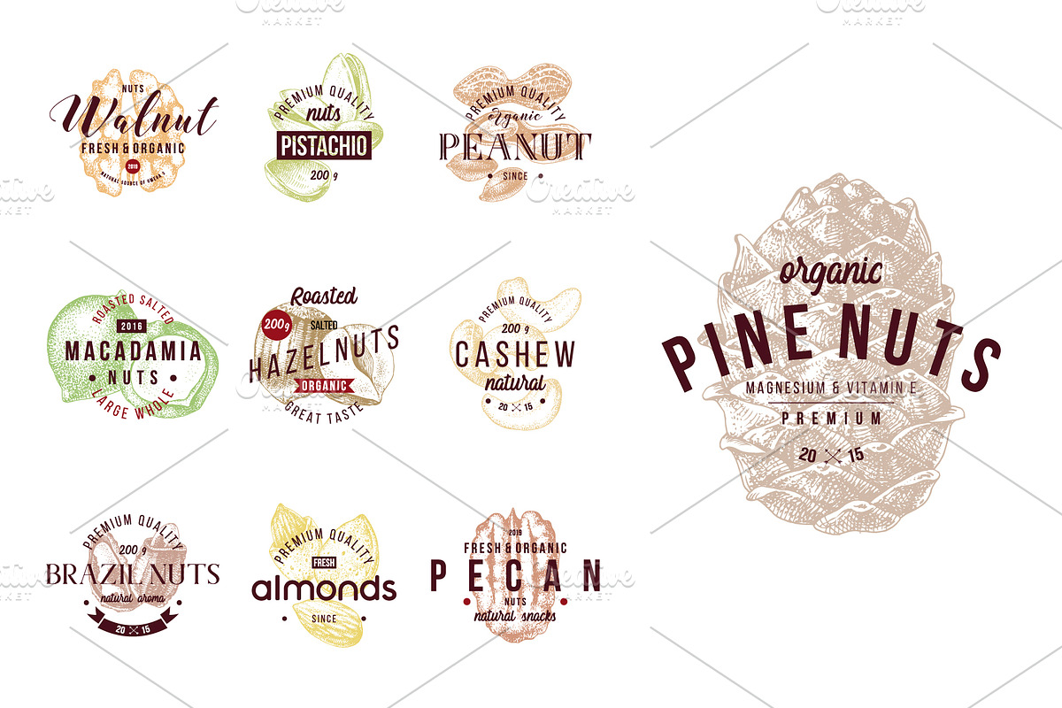 Hard nut graphic design set, a Food Illustration by handsketched (Photo 4 of 18)