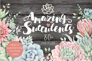 AMAZING SUCCULENTS Watercolor set