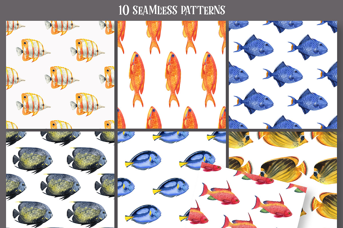 Watercolor tropical fish, an Animal Illustration by KatBranchArt (Photo 3 of 6)