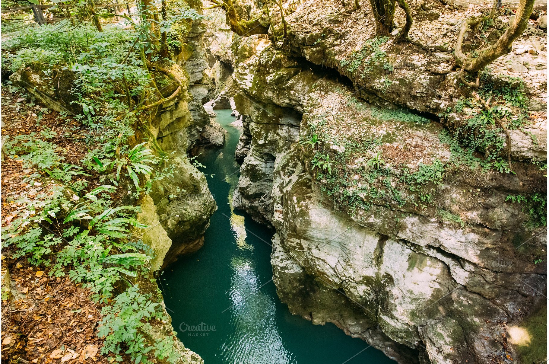 Martvili Canyon, Georgia. Landscape, a Nature Photo by Our Amazing World