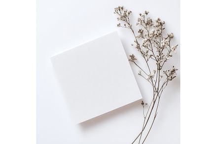 Simple white canvas square placed on, a Wallpaper Photo by Beautiful things