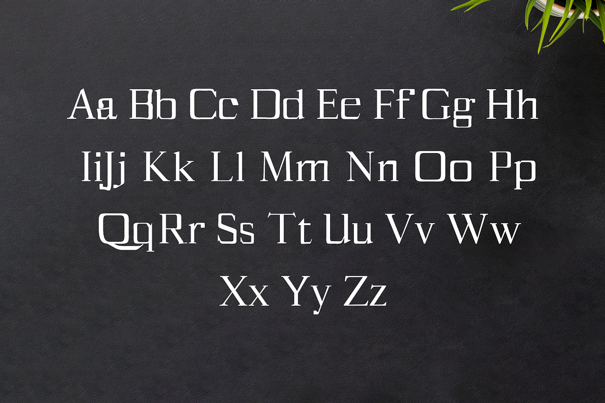 Spark Serif 3 Font Family Pack preview 3