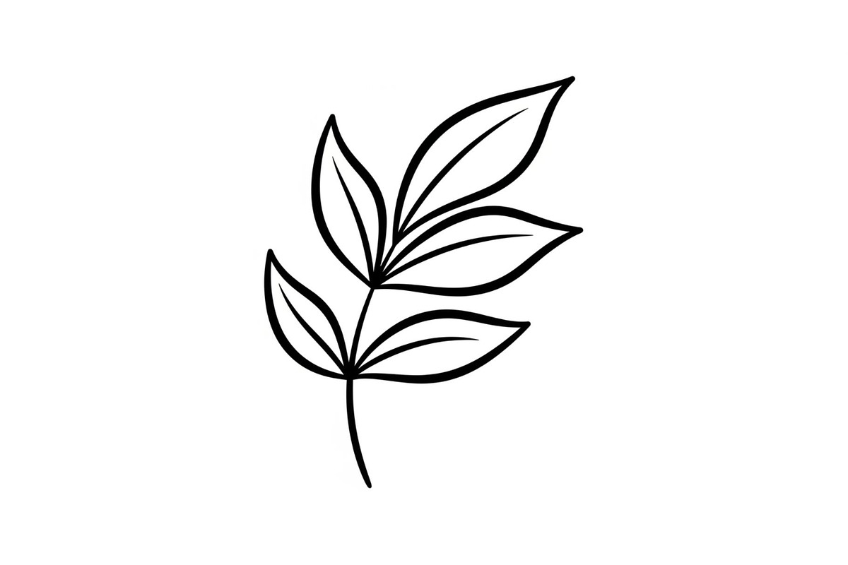 Hand Drawn Leaf Line Art Bundle, an Illustration by hafijul (Photo 41 of 51)