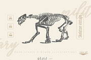 Vintage Bundle 2500+ Free Update, an Animal Illustration by Retro Machine (Thumbnail 16 of 170)