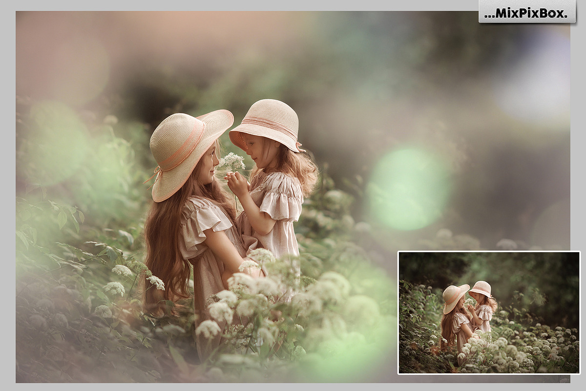 Summer Backdops preview 4