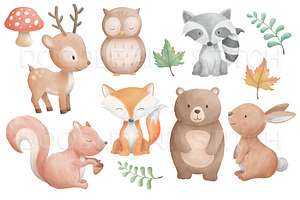 Woodland Animal Watercolor Designs