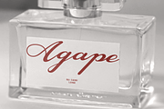 CF Lovina - Beautiful Elegant Script, a Script Font by Indotype Foundry (Thumbnail 8 of 10)