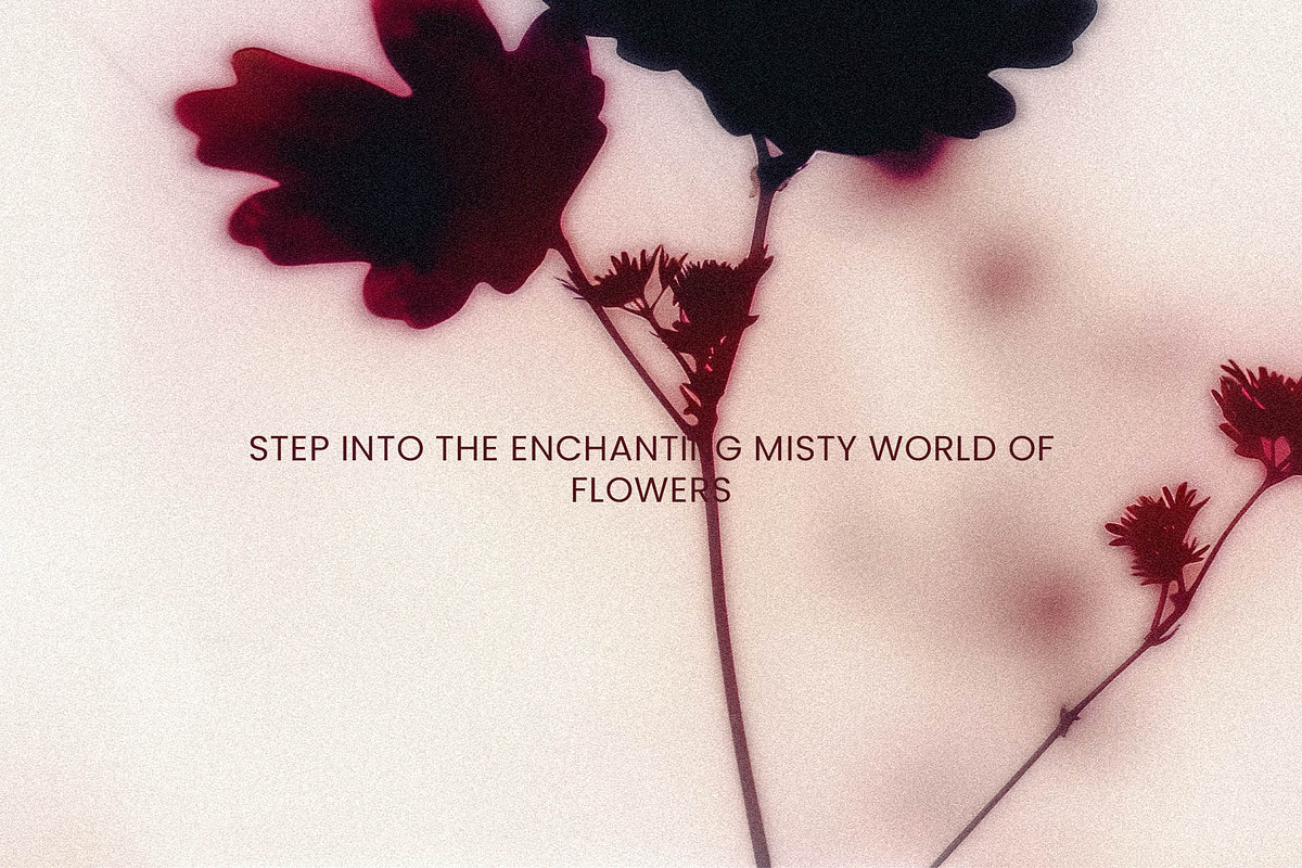 Foggy Flower Collection, a Background Graphic by nkate (Photo 5 of 11)