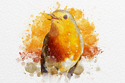 Watercolor Photo Effect, a Layer Style Add-On by dx_vect (Thumbnail 2 of 3)