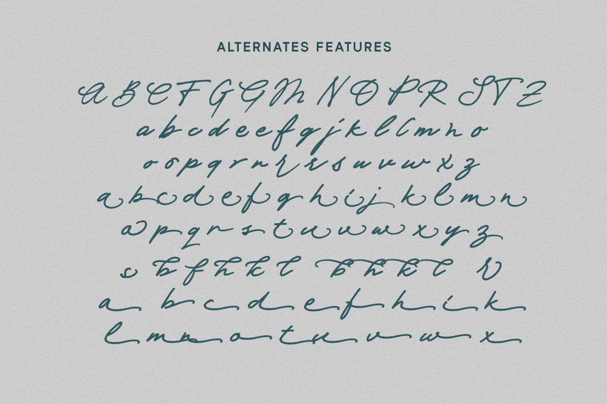 Marielle Brush Script, a Handwritten Font by Letterhend Studio (Photo 9 of 10)