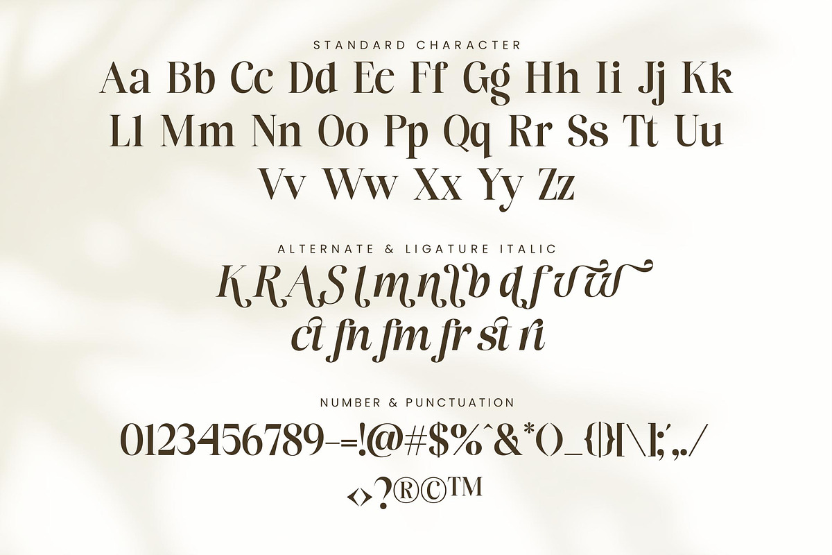 Flower Factory - Stylish Modern Seri, a Serif Font by Lettersiro (Photo 8 of 9)