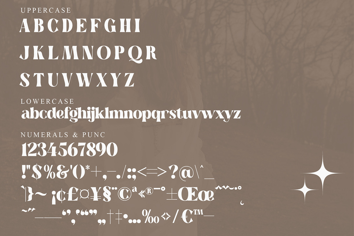 Megiska Modern and Stylish Serif, a Serif Font by Storytype Studio (Photo 13 of 15)