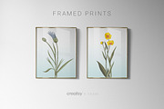 Botany, Exquisite vector pattern +!, a Pattern Graphic by Pink Linen (Thumbnail 8 of 11)