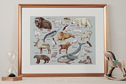 Hand drawn Arctic animals collection, an Animal Illustration by handsketched (Thumbnail 5 of 10)