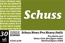 SchussNewsProHeavyIta No.30 (1 Font)