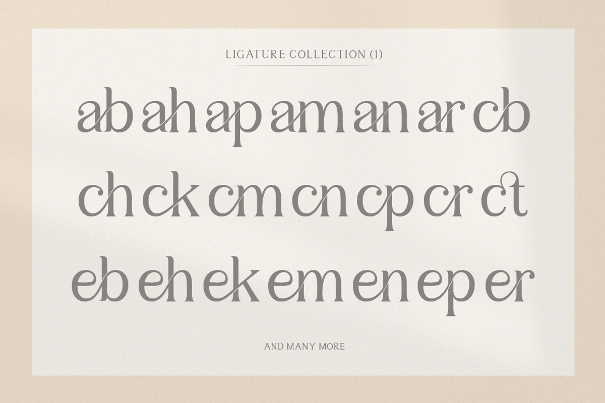 Sulangor, a Serif Font by Mantype Studio (Photo 9 of 14)