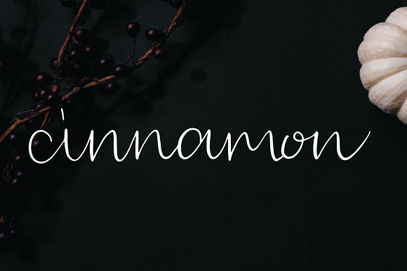 Cinnamon Font preview 7
