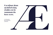 CS Botanica – Elegant Font, a Serif Font by Craft Supply Co. (Thumbnail 5 of 8)