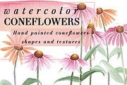 Watercolor Coneflowers Kit, an Illustration by Instinct Design Co (Thumbnail 1 of 2)