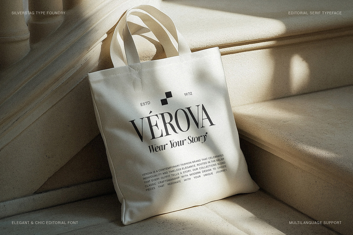 The Silver Editorial - 18 Fonts Pack, a Serif Font by SilverStag Type Foundry (Photo 25 of 30)
