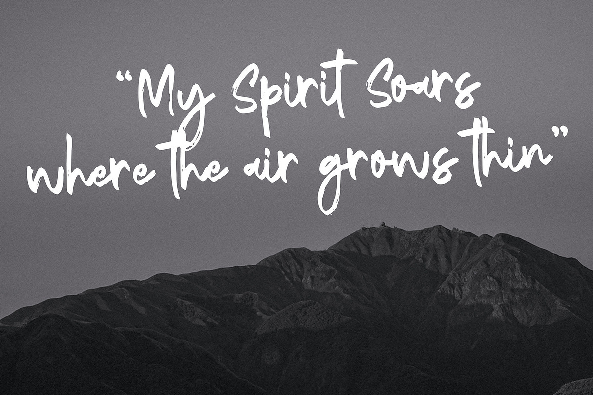 Reginy - Textured Brush Font, a Script Font by StringLabs (Photo 2 of 8)