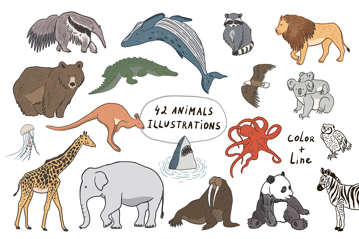 World Animals, an Animal Illustration by GooseFrol (Photo 1 of 3)
