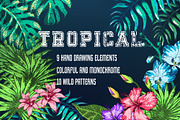 Tropical Plants and Patterns, a Texture Illustration by Katyr (Thumbnail 1 of 4)