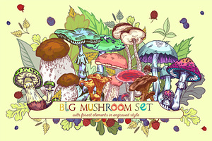 Wild Forest Mushrooms Set