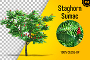 CUT OUT TREES - 60 PCS BUNDLE, a Packaging Mockup by 3DSTORE (Thumbnail 60 of 63)