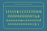 Yewhurst - Serif Typeface Font, a Serif Font by Rishsketch (Thumbnail 14 of 15)