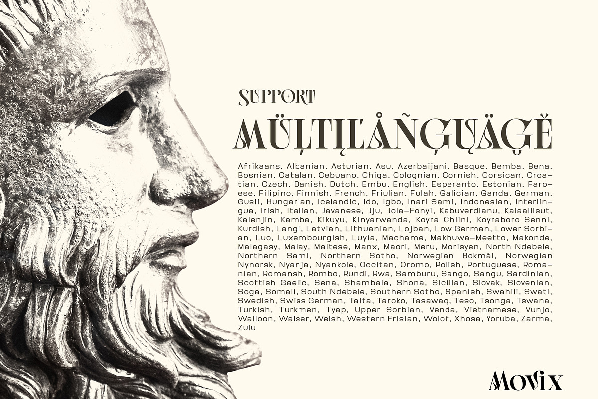 Movix, a Serif Font by Ardyanatypes (Photo 10 of 12)
