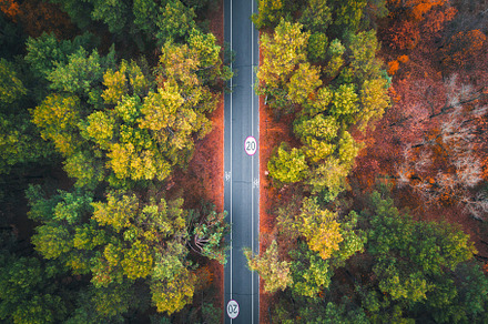 Aerial view of road in autumn forest featuring aerial, road, and view, a Transportation Photo by den-belitsky