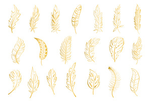 GOLD DECORATED FEATHERS Clipart