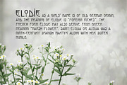 Elodie - Hand Made Art Nouveau Font, a Font by Franzi draws (Thumbnail 4 of 7)